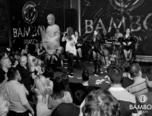 andra bamboo brasov 5