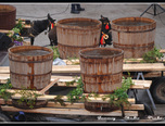 boboteaza 2012 constanta 27