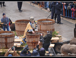boboteaza 2012 constanta 24