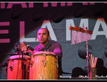 concert holograf la constanta 20
