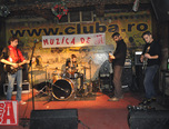concert travka in club a 49