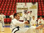 stagiul interna ional de taekwon do sibiu 2014 2