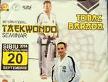 stagiul interna ional de taekwon do sibiu 2014 17