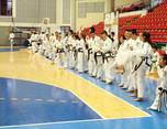 stagiul interna ional de taekwon do sibiu 2014 9