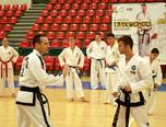 stagiul interna ional de taekwon do sibiu 2014 4