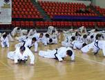 stagiul interna ional de taekwon do sibiu 2014 1