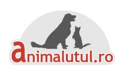 animalutul