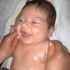 tanase olivia