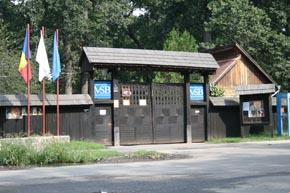 Targ Traditional De Toamna In Timisoara