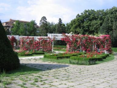 poze 1 iunie in parcul rozelor din timisoara