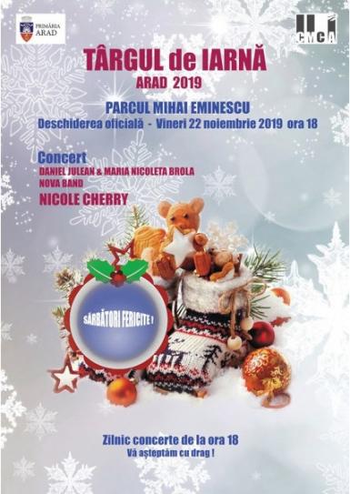 poze targul de iarna arad 2019