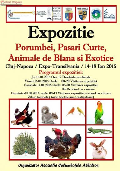 poze expozitie de animale mici la cluj