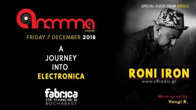 poze a journey into electronica roni iron
