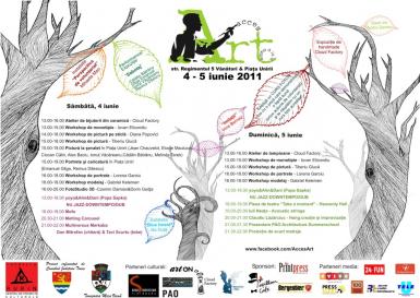poze acces art 2011