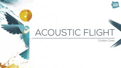 poze acoustic flight with cristian ciceu