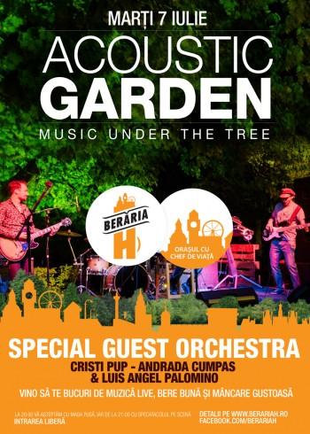 poze acoustic garden special guest orchestra