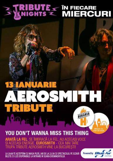 poze  aerosmith tribute concert cu italienii de la eurosmith