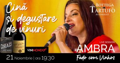 poze ambra fado com vinhos