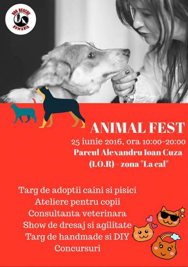 poze animal fest