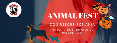 poze animal fest parcul ior bucuresti