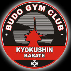 poze antrenament gratuit de kyokushin la budo gym club
