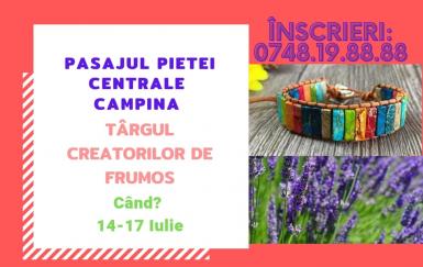 poze artizan fest la campina