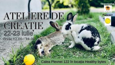 poze ateliere de crea ie la gradina