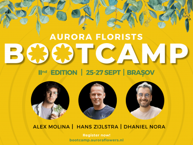 poze aurora florists bootcamp editia a doua