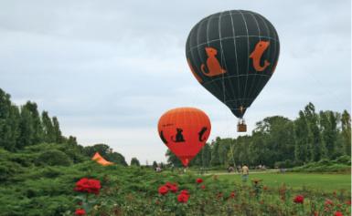 poze balonul orange la beius