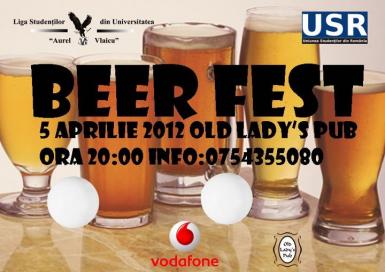 poze beer fest in arad