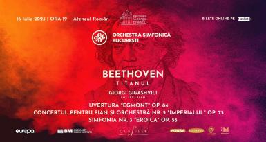poze beethoven titanul