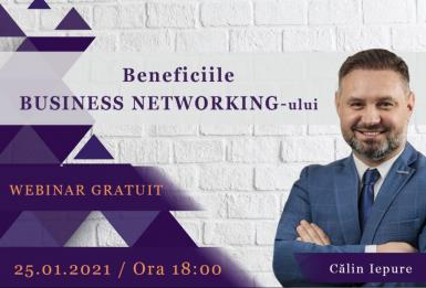 poze beneficiile business networking ului