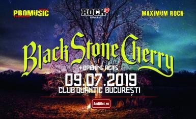 poze black stone cherry la quantic