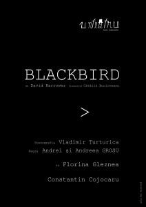 poze blackbird