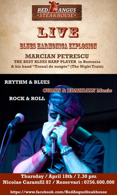 poze blues harmonica explosion