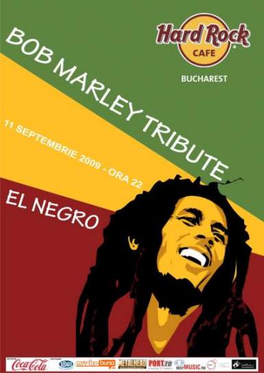 poze bob marley tribute