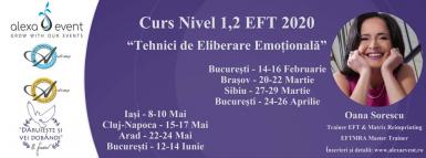 poze bucure ti curs nivel 1 2 tehnici de eliberare emotionala eft 