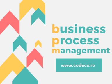 poze business process management curs practic