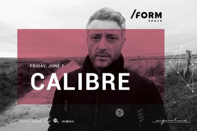 poze calibre at form space