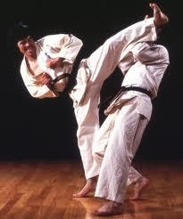 poze campionat international de karate 