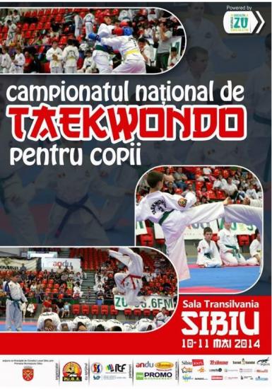 poze campionatul national de taekwon do pentru copii la sibiu