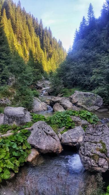 poze cascada 7 izvoare i lacul scropoasa