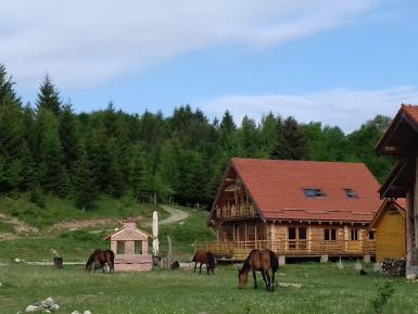 poze cazare la ferma agroturistica cu produse mangalita