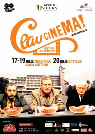 poze ceau cinema festival de buzunar 2014 la timisoara