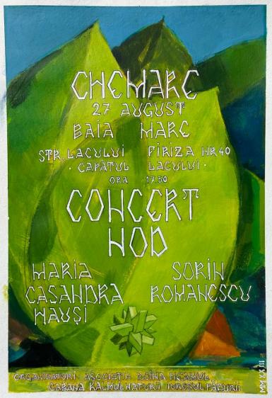 poze chemare concert nod