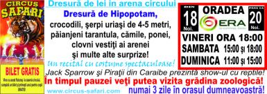 poze circul safari