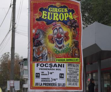 poze circus europa la focsani