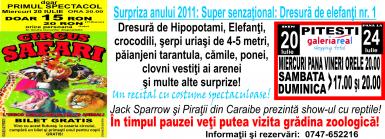 poze circus safari