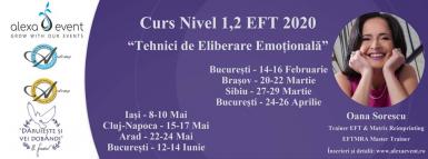 poze cluj curs nivel 1 2 tehnici de eliberare emotionala eft 