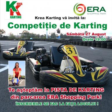 poze competita de karting